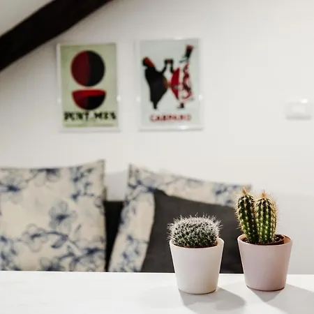 La Finestra Sabauda - Mansarda Su Apartamento *